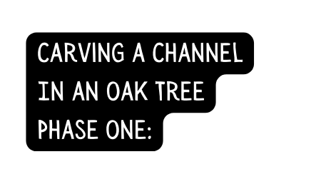 Carving a Channel In an Oak Tree Phase One